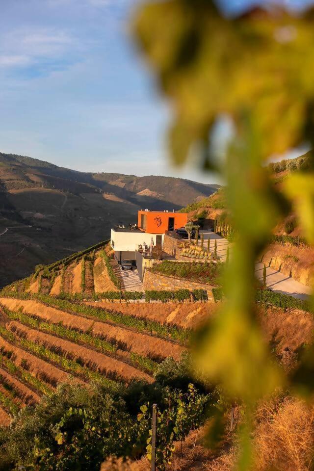 Bed and Breakfast Quinta Vale De Lobos Folgosa  Exterior foto