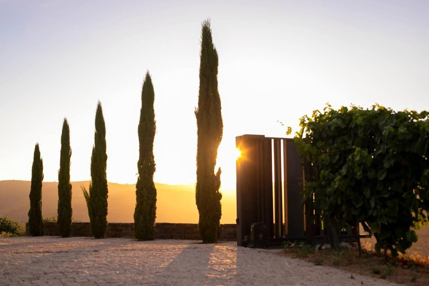 Bed and Breakfast Quinta Vale De Lobos Folgosa  Exterior foto